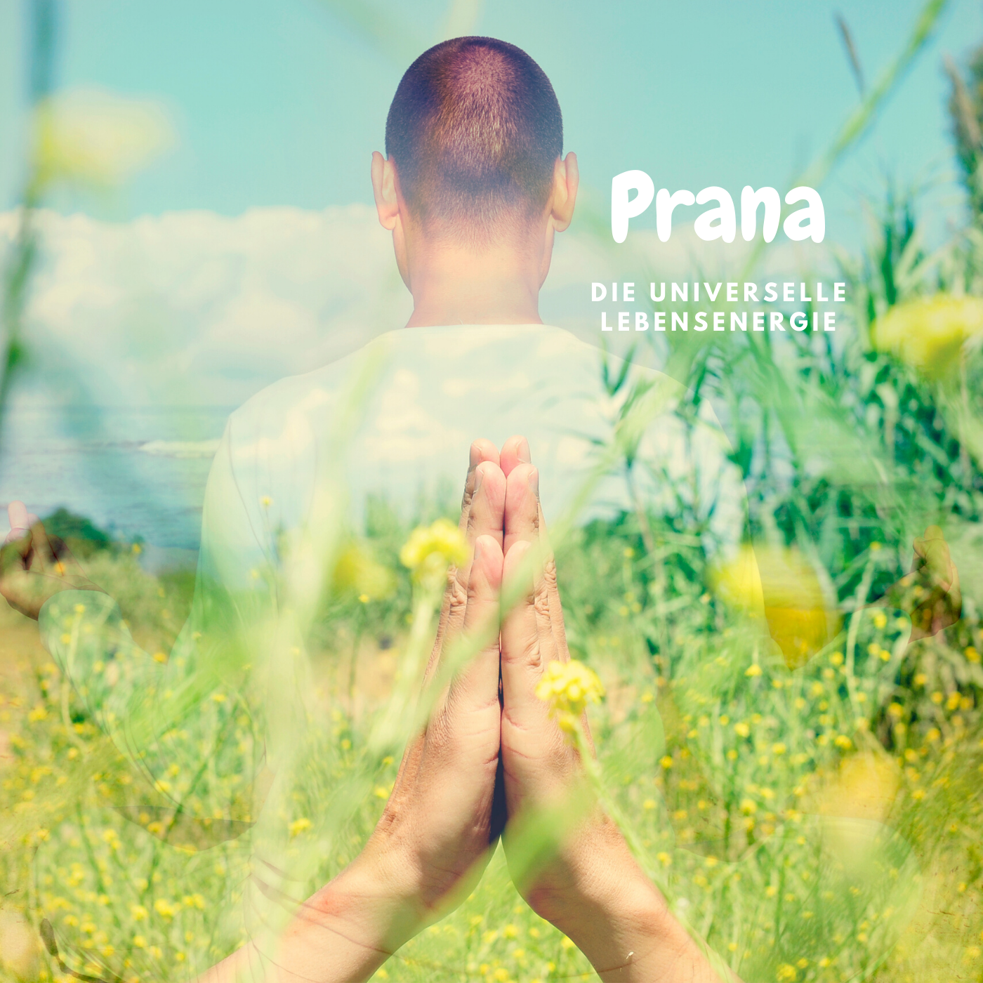 Prana – Die universelle Lebensenergie