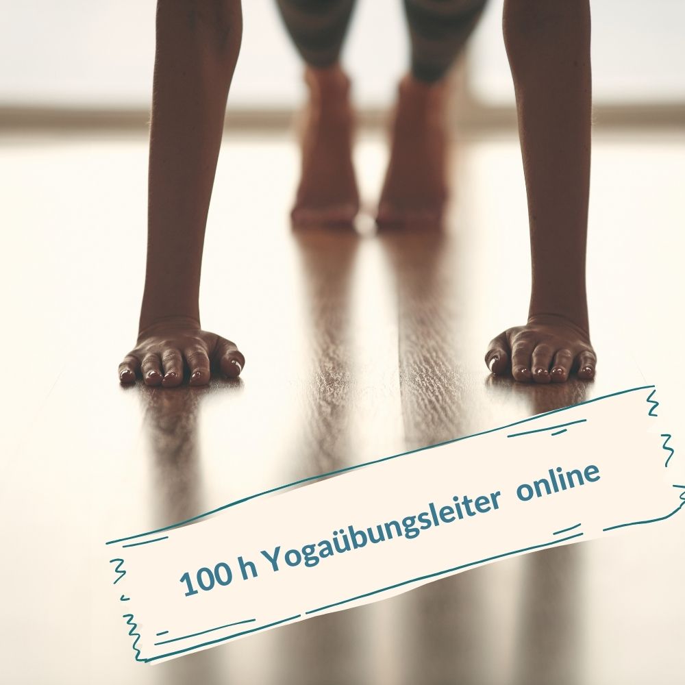 100 h Yogaübungsleiter Online