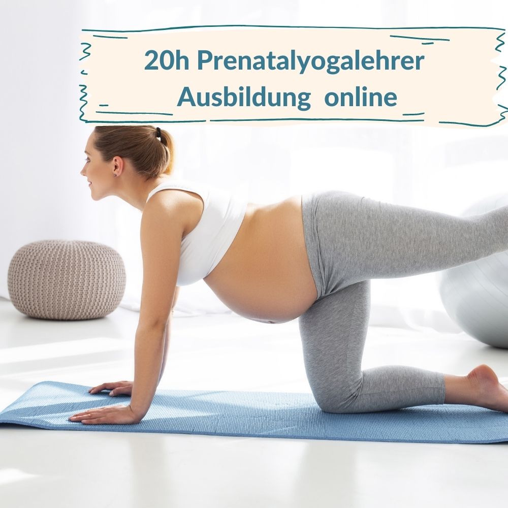 20 h Prenatalyogalehrerausbildung online