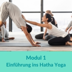 Einführung ins Hatha Yoga