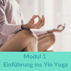 Grundasanas im Yin Yoga