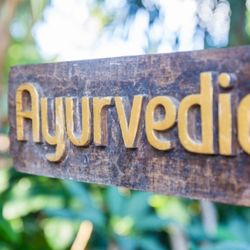 Modul 1: Einführung und Grundlagen in die Ayurvedalehre