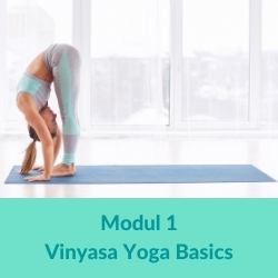 Vinyasa Yoga Basics