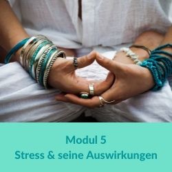Stress & seine Auswirkungen - 40 h Hormonyogayogalehrer-Ausbildung Online