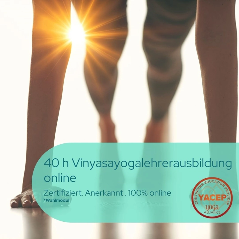 40 h Vinyasa Yogalehrer­­ausbildung online