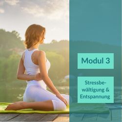 somatic-m1 (3)